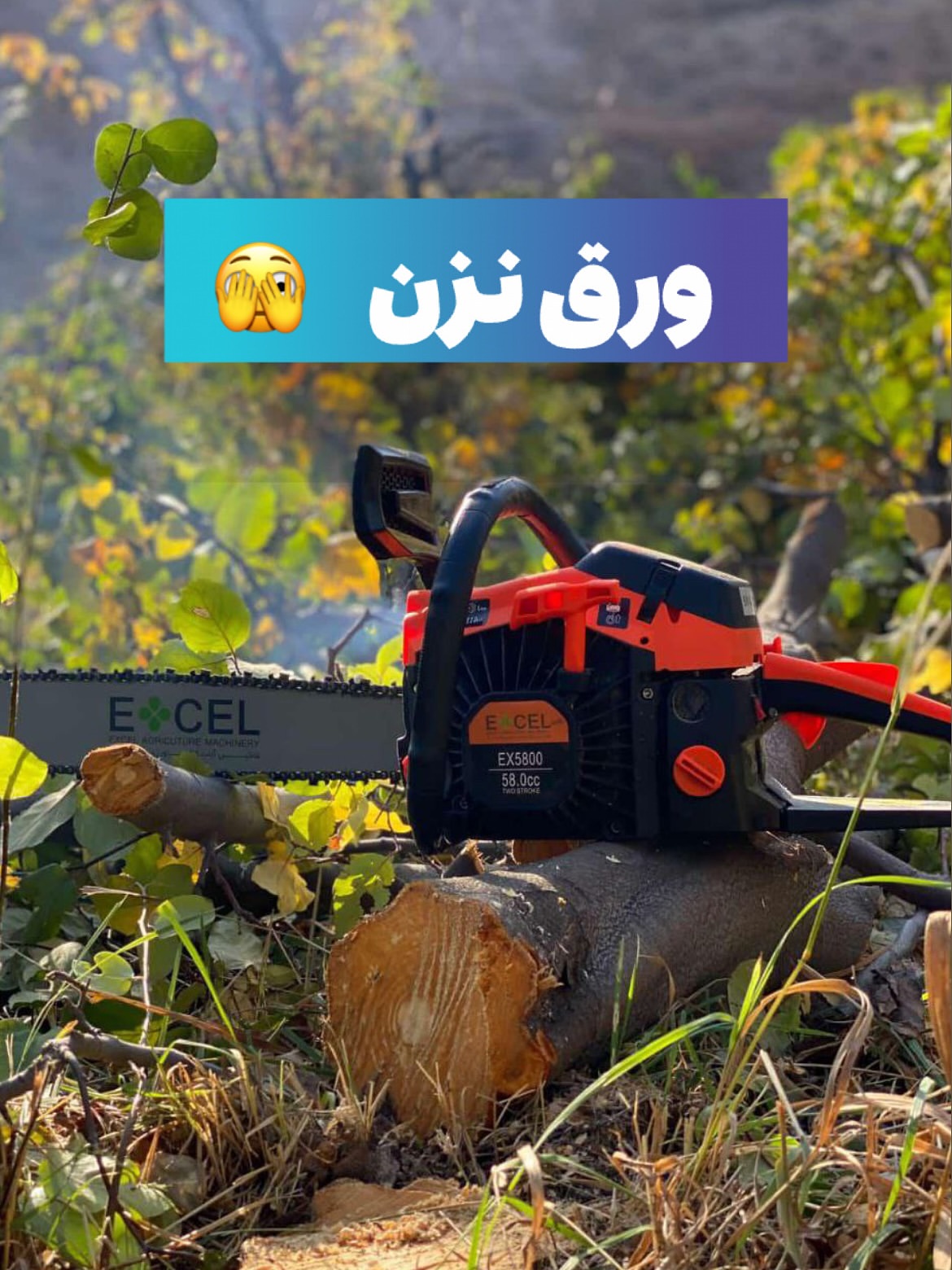 اره موتوری اکسل